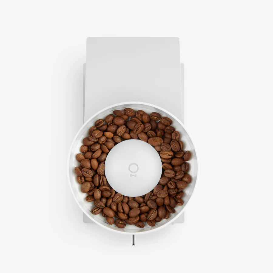 En top-down visning viser Fellow Opus Conical Burr Kværn fyldt med ristede kaffebønner. Med præcisionsindstillinger har denne kværn et cirkulært design på en rektangulær base mod en hvid baggrund.