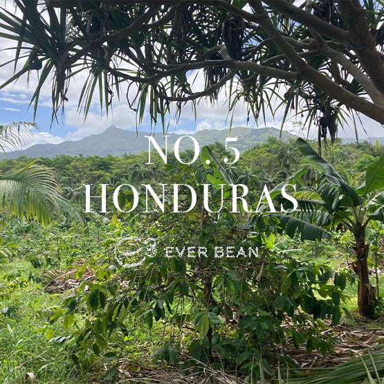 Under klar himmel og fjerne bjerge skaber frodige grønne planter og kaffeplanter baggrunden for EverBeans "Single Serve, No. 05 · Honduras." Nyd den mindre syreholdige smag af honduransk kaffe i praktiske singler, prydet med EverBeans unikke logo.