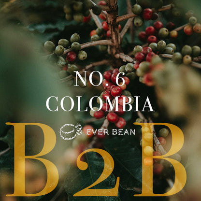 Nærbillede af kaffekirsebær med "No. 06 · Colombia Dark Roast" i overlay; "B2B" er fed guld og "EverBean" nedenunder. Den slørede baggrund fremhæver de livlige kirsebær og fremkalder den rige dybde af colombiansk kaffe.