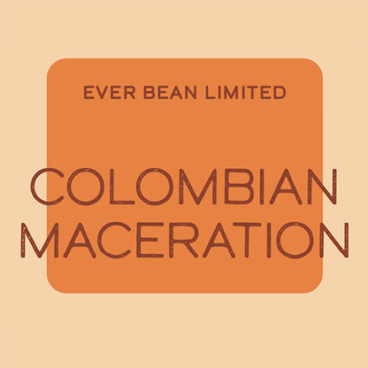 En orange firkant på en lys beige baggrund viser "EverBean" med mindre bogstaver over "Single Serve (w)," og understreger dens colombianske Maceration, Single Origin kaffe, alt sammen med en fed, enkel skrifttype.